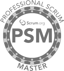 Professional Scrum Master